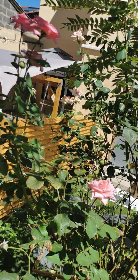 Lyon Superbe Jacuzzi Vue Sur Jardin Apartment Вильорбан Екстериор снимка